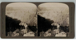 ETATS UNIS #PP1319 GRAND CANON OF COLORADO GAZING INDIAN 1900 - Fotos Estereoscópicas