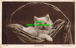 R587539 No. 3957. Serene Repose. W. And K. London. Cat. RP. 1918 - Autres & Non Classés