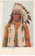 INDIENS #MK41874 CHIEF FLEET FOOT COIFFE PLUMES - Native Americans