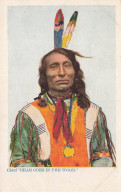 INDIENS #MK41875 CHIEF BEAR GOES IN THE WOOD - Indiaans (Noord-Amerikaans)