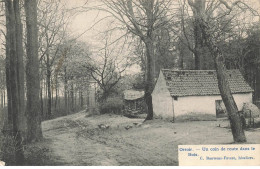 BELGIQUE #MK42052 ORROIR UN COIN DE ROUTE DANS LE BOIS - Kluisbergen