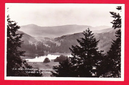 F-01-Oyonnax-01P21 Vue Sur Le Lac Genin, Type Photo, BE - Oyonnax