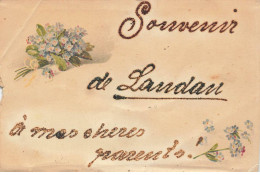 ALLEMAGNE #MK42096 SOUVENIR DE LANDAU FLEURS - Landau