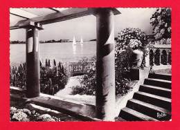 F-06-Cannes-27PJY Un Jardin Provençal Et Le Palm Beach, Type Photo, BE - Cannes