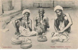 SRI LANKA #MK44234 CEYLON SNAKE CHARMERS - Sri Lanka (Ceylon)