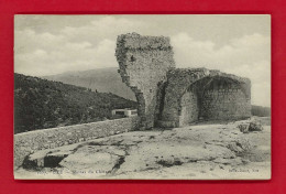 F-06-Eze-04P1  Les Ruines Du Château, Cpa BE - Eze