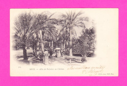 F-06-Nice-23P1 L'allée De Palmiers Au Château, Belle Animation, Cpa Précurseur BE - Parques, Jardines