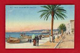 F-06-Nice-37PH  La Promenade Des Etats Unis, Animation, Cpa Colorisée BE - Parcs Et Jardins