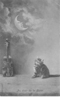 CHATS #MK40091 AU CLAIR DE LUNE CHAT ET INSTRUMENT MUSIQUE CONTRE BASSE LUNE MOON - Chats