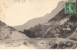 74 HAUTE SAVOIE #MK42788 LA VALLE DU PETIT BORNAND - Autres & Non Classés