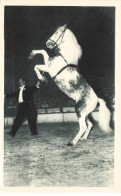 SPECTACLE #MK43817 OURAL CHEVAL CABREUR MAITRE ECUYER AL GRUSS - Cirque