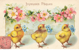 VOEUX #MK46011 JOYEUSES PAQUES POUSSINS FLEURS - Easter