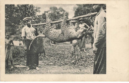 CAMEROUN #FG43443 KAMERUN A TROPHY CHASSE AU GUEPARD HUNT HUNTER WEST AFRICA - Camerún