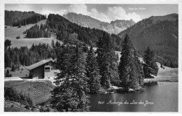 SUISSE #MK44827 AUBERGE DU LAC DES JONCS - Sonstige & Ohne Zuordnung