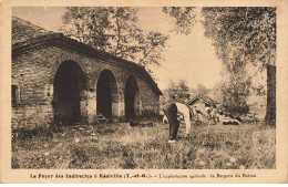 82 REALVILLE #MK46485 LE FOYER DES INDIRECTES L EXPLOITATION AGRICOLE LA BERGERIE DU BRETOU - Realville