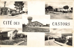 33 PESSAC #MK46226 ALOUETTE CTE DES CASTORS - Pessac