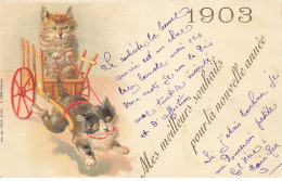 CHATS #MK44981 ATTELAGE DE CHATS ANNEE 1903 EDIT WEICK - Katten