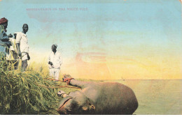 CHASSE #MK45019 HUNT HIPPOPOTAMUS HIPPOPOTAME ON THE WHITE NILE - Jacht