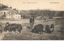 64 PYRENEES ATLANTIQUES #MK45367 TROUPEAUX DE CHEVRES PAYS BASQUE - Sonstige & Ohne Zuordnung