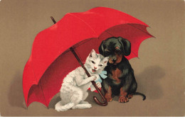 CHATS #MK46028 UN CHAT ET UN CHIOT EN DESSOUS D UN PARAPLUIE ROUGE - Katzen