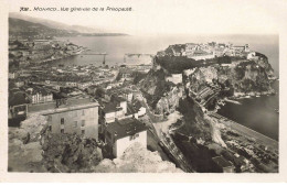 MONACO  #SAN47423 VUE GENERALE DE LA PRINCIPAUTE - Monte-Carlo