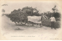 64 BIARRITZ #MK48040 ATTELAGE BASQUE BOEUFS - Biarritz