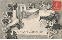 50 ST HILAIRE DU HARCOUET #SAN47920 DIVERS ASPECTS DE LA VILLE FLEURS - Other & Unclassified