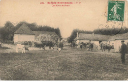 27 LOUVIERS #SAN47771 UNE COURS DE FERME SCENE NORMANDES VACHES AGRICULTURE - Louviers