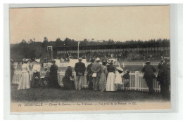 14 DEAUVILLE CHAMP DE COURSE LES TRIBUNES VUE PRISE DES PELOUSE N°79 HIPPISME - Deauville