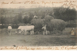 AGRICULTURE #SAN47127 METIER EN NIVERNAIS LE CHARGEMENT DU FOIN ATTELAGE DE BOEUFS - Wagengespanne