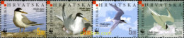 190461 MNH CROACIA 2006 AVES - Kroatië