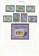 Barbuda - Collection Vendue Page Par Page - Neufs ** Sans Charnière - TB - Antigua E Barbuda (1981-...)