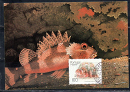 MADERA MADEIRA 1989 FISHES SCORPAENA MADERENSIS FISH 100e MAXI MAXIMUM CARD CARTE - Madère