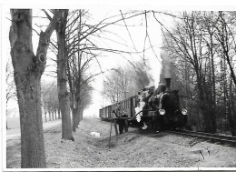 Chemin De Fer - Photo PEREVE ( 12,5 Cm X 8,5 ) -  Locomotive - Treinen