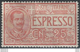 1903 Italia Regno VE III Espresso C. 25 Rosso SL (MNH) Cat. Sass. 1 € 525,00 - Otros & Sin Clasificación