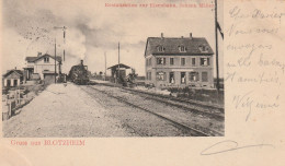 France Carte Postale Gruss Aus Blotzheim 1901 - Sonstige & Ohne Zuordnung