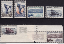 1956 TAAF - Maury N. 2/6 - Fauna Dell'Antartico - Set Of 6 MNH** - Altri & Non Classificati