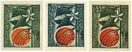 643203 MNH ARGELIA 1963 NARANJO - Algérie (1962-...)
