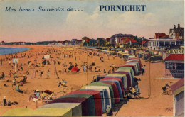 55095806 - Pornichet - Pornichet