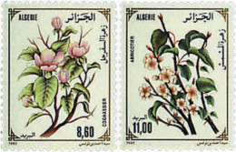 611880 MNH ARGELIA 1993 FLORES DE ARBOLES FRUTALES - Algerije (1962-...)