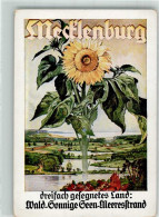 13292906 - Eine Sonnenblume Ueber Der Seenreichen Mittelalterlichen Mecklenburger Landschaft Landesverkehrsverband Meck - Pubblicitari