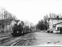 Chemin De Fer  - Photo  ( 12 Cmx 8 ) - Locomotive - Voir Scan Verso - Trains