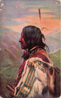 ILLUSTRATEURS _S28491_ Wide Wide World Indian Chiefs Oilette Raphael Tuck & Sons - Indien - En L'état Trous - 1900-1949
