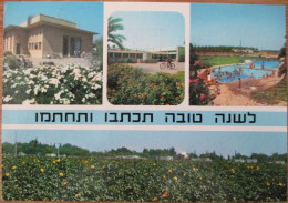ISRAEL BEIT SHEAAN KIBBUTZ TYRAT ZVI SHANA TOVA NEW YEAR CARD POSTCARD CARTE POSTALE ANSICHTSKARTE CARTOLINA POSTKARTE - Israel