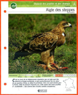 AIGLE DES STEPPES Oiseau Illustrée Documentée  Animaux Oiseaux Fiche Dépliante - Animales