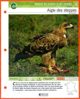 AIGLE DES STEPPES Oiseau Illustrée Documentée  Animaux Oiseaux Fiche Dépliante Animal - Dieren