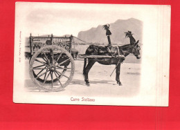 18675  CARRO Siciliano  ( Char Charrette  Bonnet Cheval Courses) - Paarden