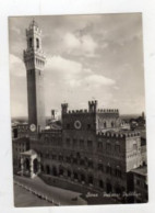 SIENA Palazzo Pubblico 1967 - Siena