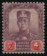 Malaya - Johore 1904 - Mi-Nr. 48 * - MH - Sultan Ibrahim - Sarawak (...-1963)