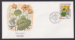Bulgarie Bulgarien Europa FloraCalthas Blumenblätter Schöner Künstler Brief - Fidji (1970-...)